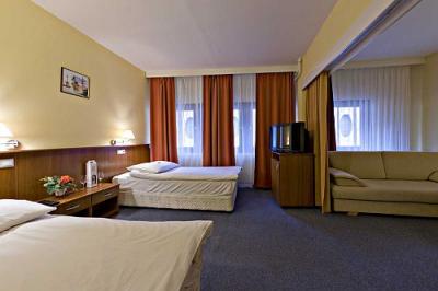 Hotel Palatinus - Apartements für 3-4 Personen in der Innenstadt von Sopron om Hostel Palatinus - Hotel Palatinus Sopron - Hotel Palatinus in der Innenstadt von Sopron für erschwindbaren Preis